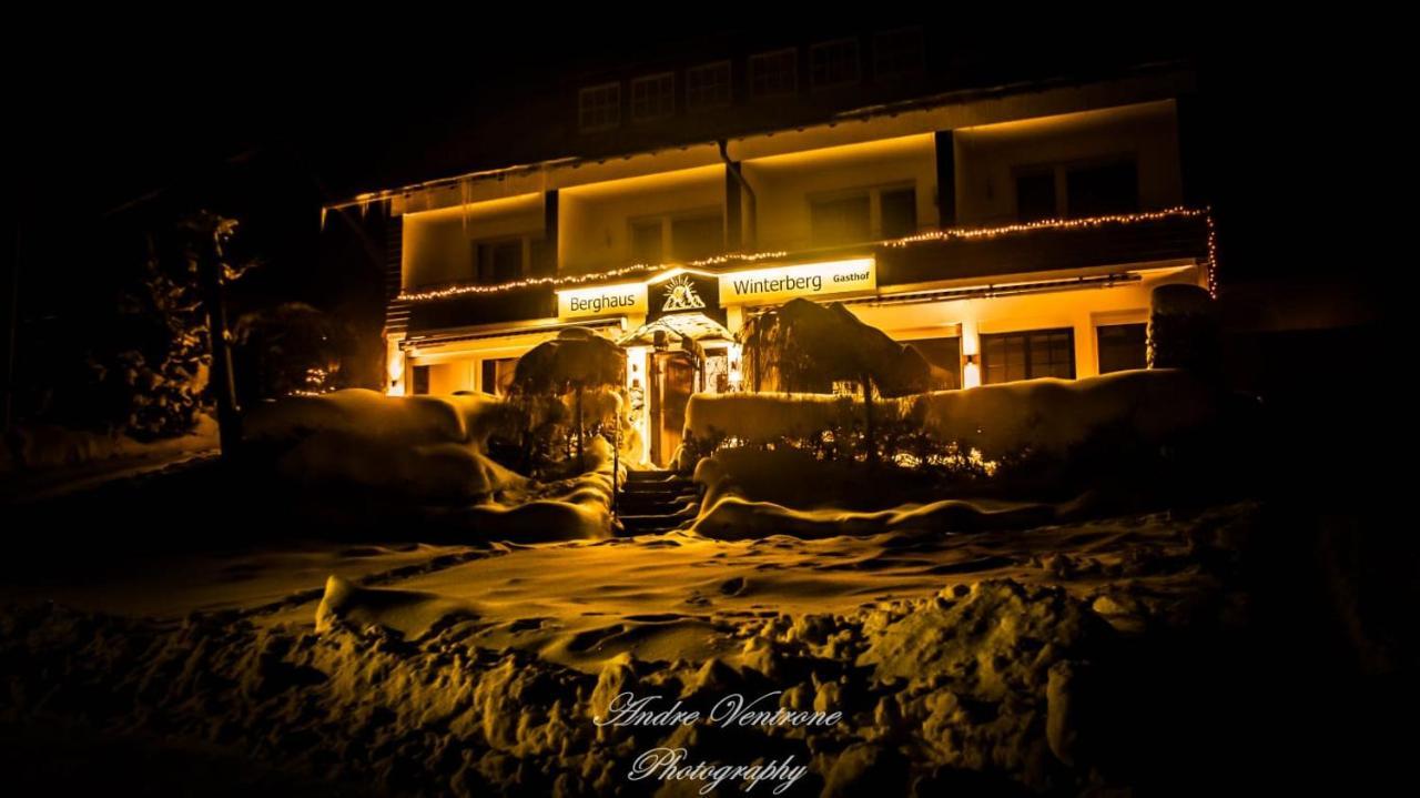 Отель Berghaus Винтерберг Экстерьер фото